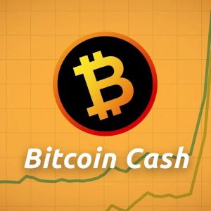 Why Is Bitcoin Cash (BCH) Rising With Positive Decoupling From The Market?