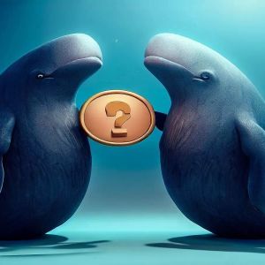 Nansen: While Bitcoin Continues Its Volatile Movements, Whales Bought These Altcoins The Most!