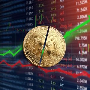 Legendary Analysts Peter Schiff and Peter Brandt Speak After the Events That Brought Bitcoin (BTC) Price Down: What Do They Expect?