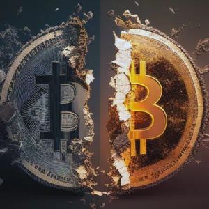 Bitwise Analysts Talk About the Short and Long-Term Impact of Bitcoin Halving: "Underestimated!"