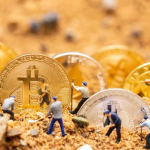 Bitcoin Halving is Close: What About BTC Miners? What Should the BTC Price Be to Prevent Them From Collapsing?