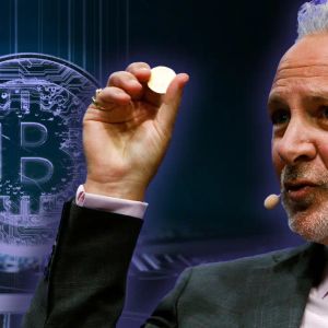 Bitcoin Enemy Peter Schiff Speaks After Recent Drops: "BTC Proves It Is Not a Safe Haven, Buy This Instead of BTC!"