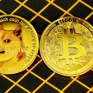 Is a Big Rally Coming for Bitcoin and Dogecoin? The Indicator That Knows the Previous Risings Burned!