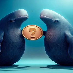 Giant Whales are on the move: The Bitcoin Whale that has been sleeping for 10 years has woken up! These Altcoin Whales Are Astonishing With Their Profits!