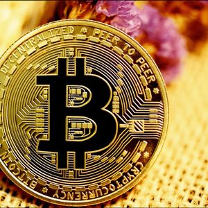 The Big Day Has Arrived: Crucial Bitcoin-related Data to Be Released on Wednesday