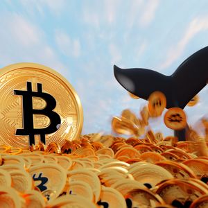 After Bitcoin Climbs Above $70,000, Santiment Reports Increased Whale Activity in Two Altcoins