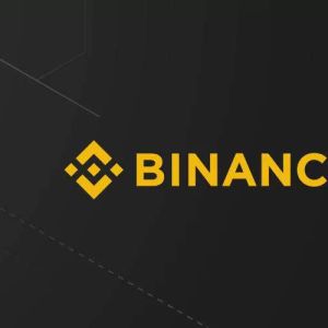 Binance Labs Announced It Invested in a New Altcoin, Price Reacted!