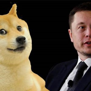 Dogecoin Share Came from Elon Musk, Price Reacted!