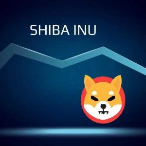 Shiba Inu (SHIB) Team Praises This Altcoin, Volatility Increases!
