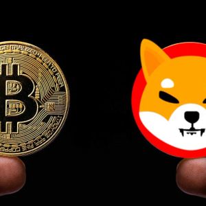 Why Is Shiba Inu (SHIB) Rising While Bitcoin Is Falling? Analyst Reveals What It Needs for BTC to Rise Again!