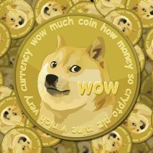 A Big Whale In Dogecoin (DOGE) Bought 2 Million Call Options For This Price Level – Does It Know Something?