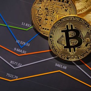 Renowned Economist Describes “The Level Where Bitcoin Price Should Actually Be”