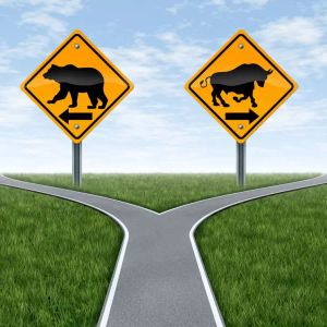 Bitcoin (BTC) is at the Crossroads: Will the Bears or Bulls Win? Experienced Analyst Who Found the 2022 Bottom Announced the Possible Bear Scenario!