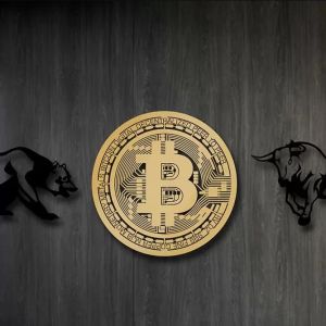 Will Bears or Bulls Win in Bitcoin? What Will Happen Next in BTC? Willy Woo Announces His Predictions!