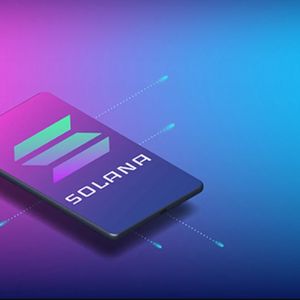 1 Million Dollar Reward Program from Solana! Who Can Participate?