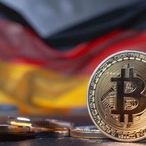 German Government Continues to Sell Bitcoin! How Many Bitcoins Were Sent to Three Major Exchanges? Here are the Details