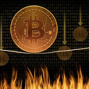 Attention Bitcoin (BTC) Investors! This data points to a downward trend: it has fallen to its lowest level since 2020!