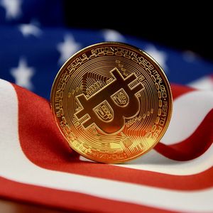Bitcoin Statement from the US Independent Presidential Candidate: 'If I am elected, I will buy as much Bitcoin as the Gold Reserve!'