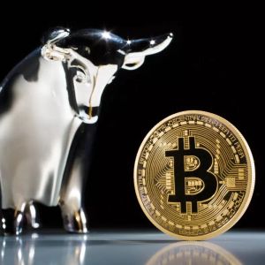 Economist Timothy Peterson Gives His Expected Date for $500,000 and $1 Million in Bitcoin