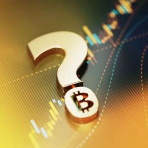 What Causes the Decline in Bitcoin? Latest Data Points to Institutional Investors!