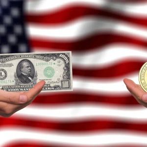 Is the Fate of Bitcoin and Cryptocurrencies in the US Elections in November? Here are the Expectations Based on the Results