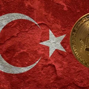 Fraudster, Who Defrauded Investors of 4 Billion Dollars, Caught in Turkey