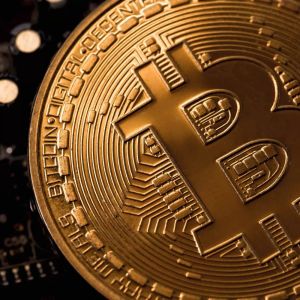 Analyst Made a Statement After the Decline in Bitcoin: “September Is Early For Hopes, But…”