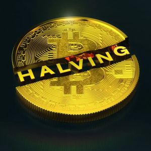 Web3 Startup Company Announces That the Latest Bitcoin Halving Did Not Create the Expected Effect!