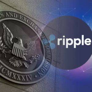 Ripple- New Development on the SEC Front! A New Request Has Been Submitted to the Court!