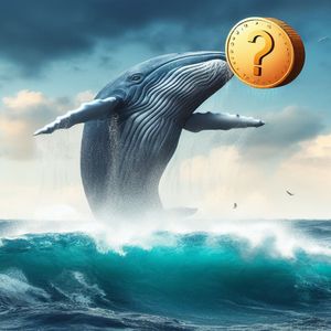 Analysts Name an Altcoin as the Market Falls: “Whales Are Focusing On This”