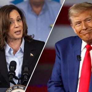 The Big Day Has Arrived: Will Donald Trump and Kamala Harris Talk Cryptocurrencies in Live Debate?