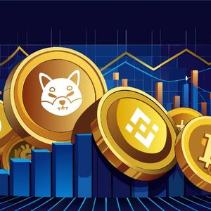 Top 5 Altcoins That Could Dominate the 2024 Market