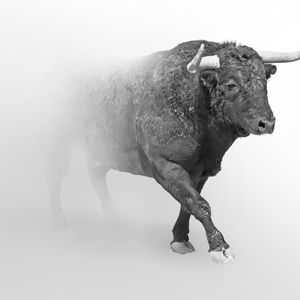 New Statements from il Capo After the Rally: “Altcoins Entering ‘Impulsive Bull Wave’”