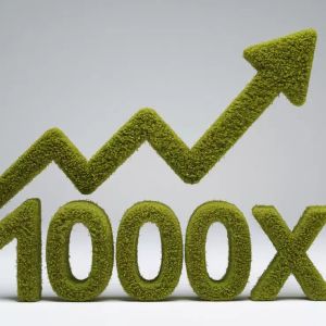A Trader Made More Than 1000x Profit on a Little-Known Altcoin: But There’s a Problem