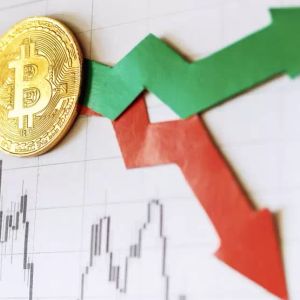 il Capo Shares What to Expect After Bitcoin’s Slight Recovery