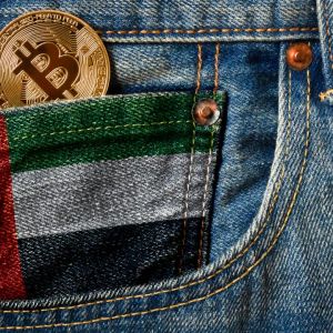 Good News for Crypto Coins from the United Arab Emirates (UAE)