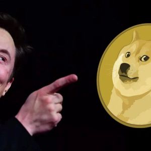 Elon Musk Announced His New Project, Dogecoin (DOGE) Soared! Here Are the Details….