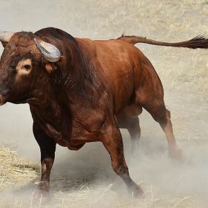 Veteran Analyst Gives Date Prediction for Altcoin Bull Season