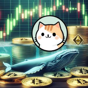 Whales Are on the Move! Here’s Why Big Investors Are Stacking TRX and ZDEX