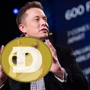 New Dogecoin (DOGE) Post from Elon Musk!