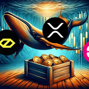 Fast-Rising Cybro Finance Draws Whales Away From XRP and Polkadot