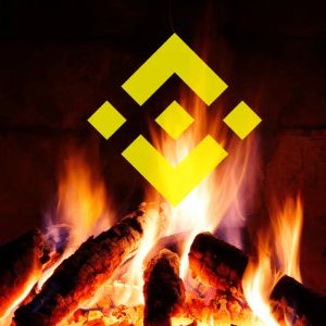 Bitcoin Exchange Binance's Native Token Has Had Its 29th Token Burn! Here's the Amount of Burned Tokens