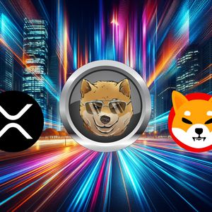 Dogen Gains 80% in a Month — XRP and SHIB Investors Take Notice as Presale Heats Up
