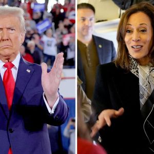 What Will Happen If Donald Trump Wins, What Will Happen If Kamala Harris Wins? Here are Predictions and Possible Impacts