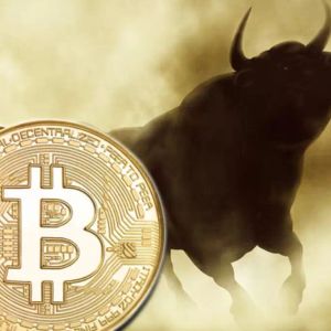 What to Expect After the Big Rally in Bitcoin Price, What Will Come? Here’s What Experts Say