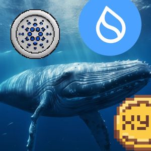 Whales Accumulate ADA, SUI and XYZ – Analysts Predict 5000% Gains on the Horizon