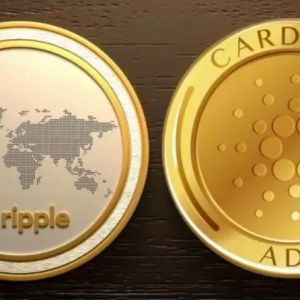 Ripple and Cardano (ADA) Partnership Coming? CEOs Speak!