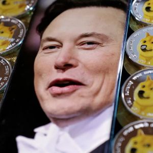 Important News for Dogecoin – There is a Development in the DOGE Lawsuit Against Elon Musk