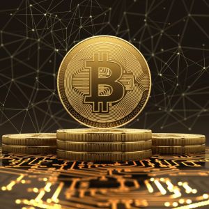 Giant Company Announces It Will Buy Bitcoin (BTC), Its Shares Soared!