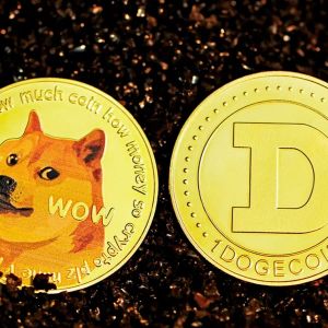 Giant Company Dogecoin (DOGE) Announced Its Decision! "It Will Be a First!"